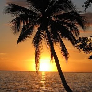 Meet your Posher, Nasha